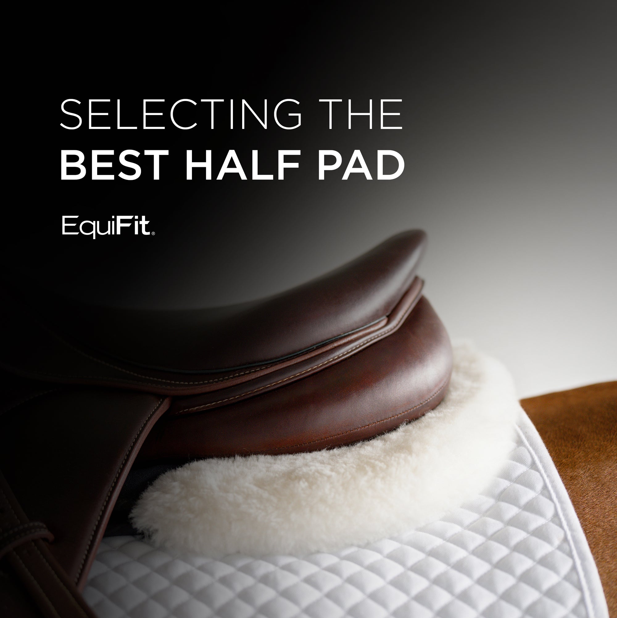 Selecting the Best Half Pad for Your Horse