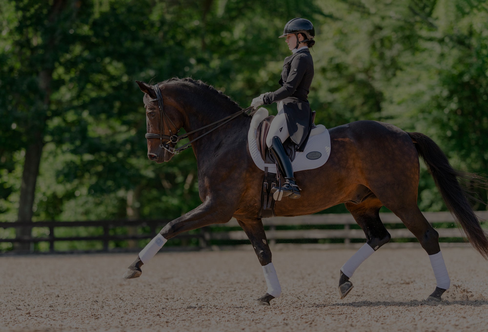 Hope Cooper riding in EquiFit Dressage products.