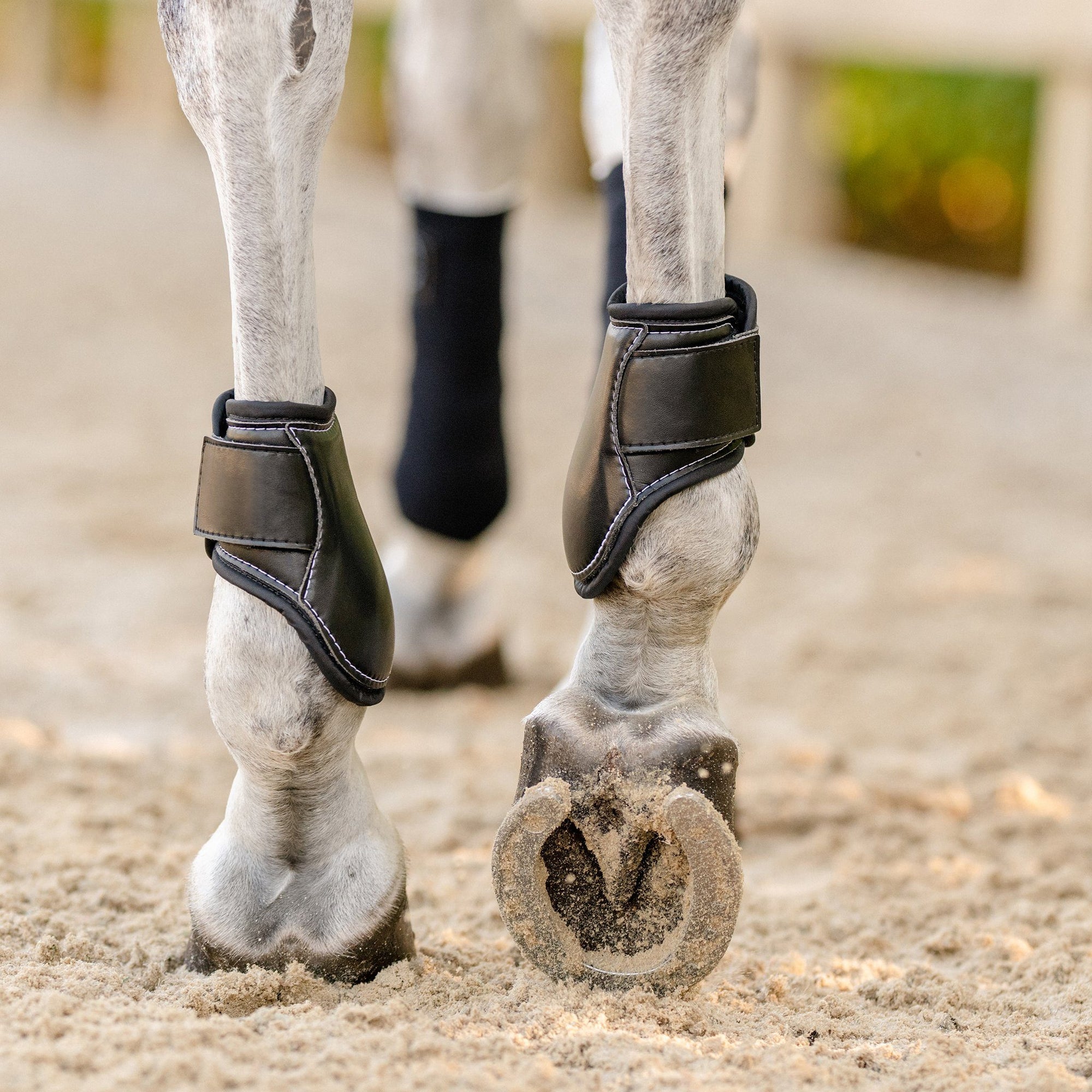 FEI Compliant Young Horse Boots (5 - 8 Years Old)