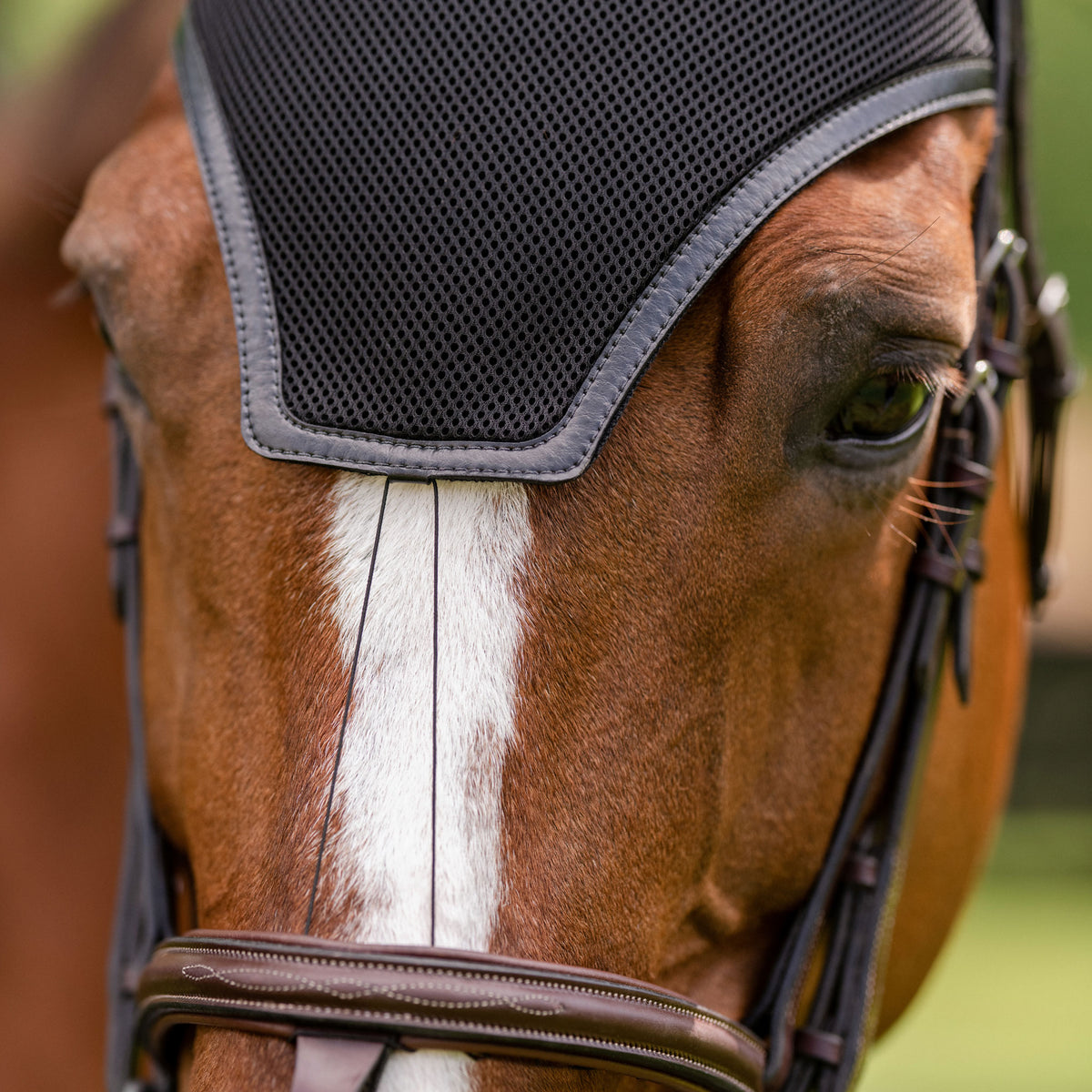 EquiCare LED Therapy® Red Light Calming Horse Bonnet