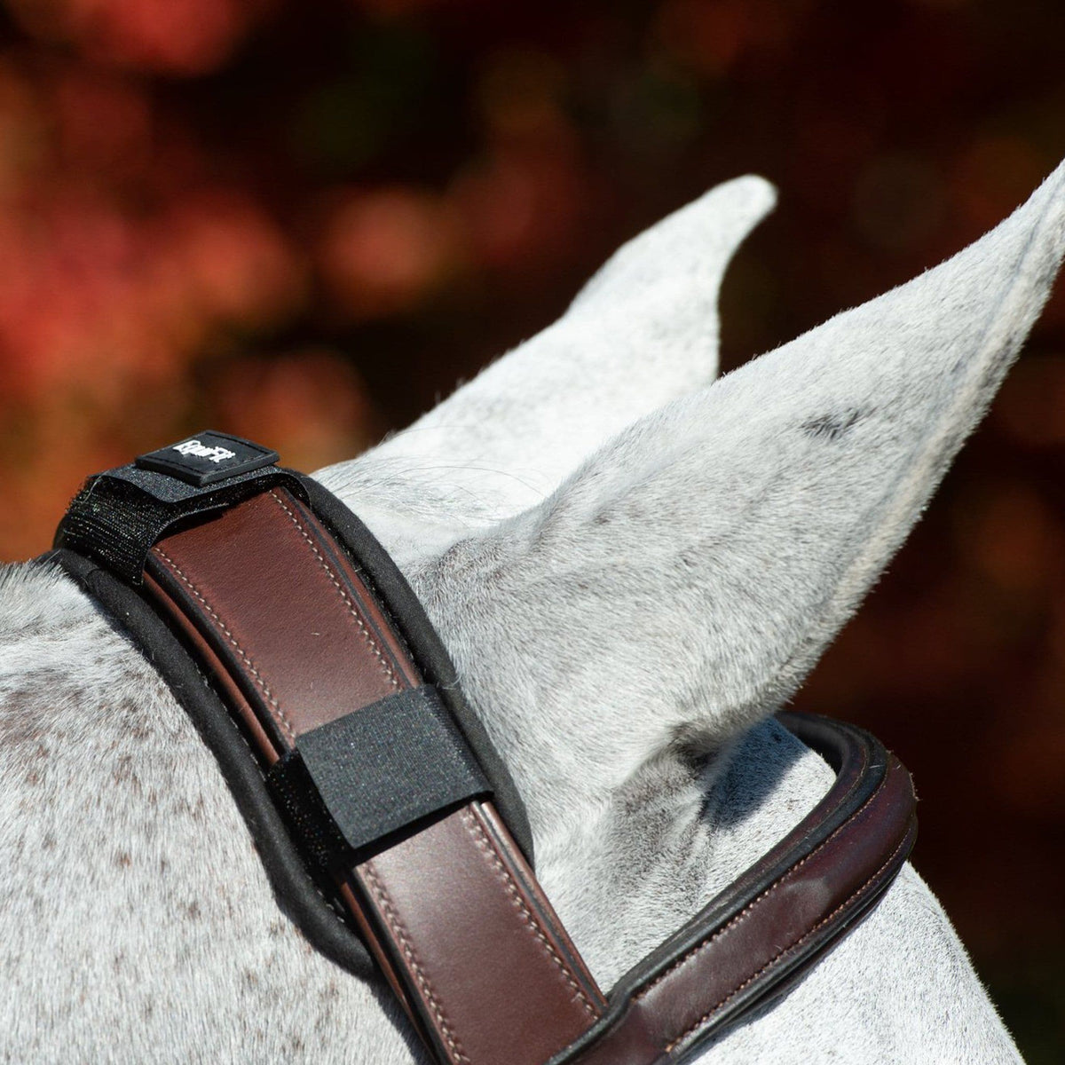 EquiFit ImpacTeq Crown Pad