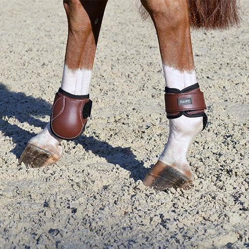 Hind boots for horses store